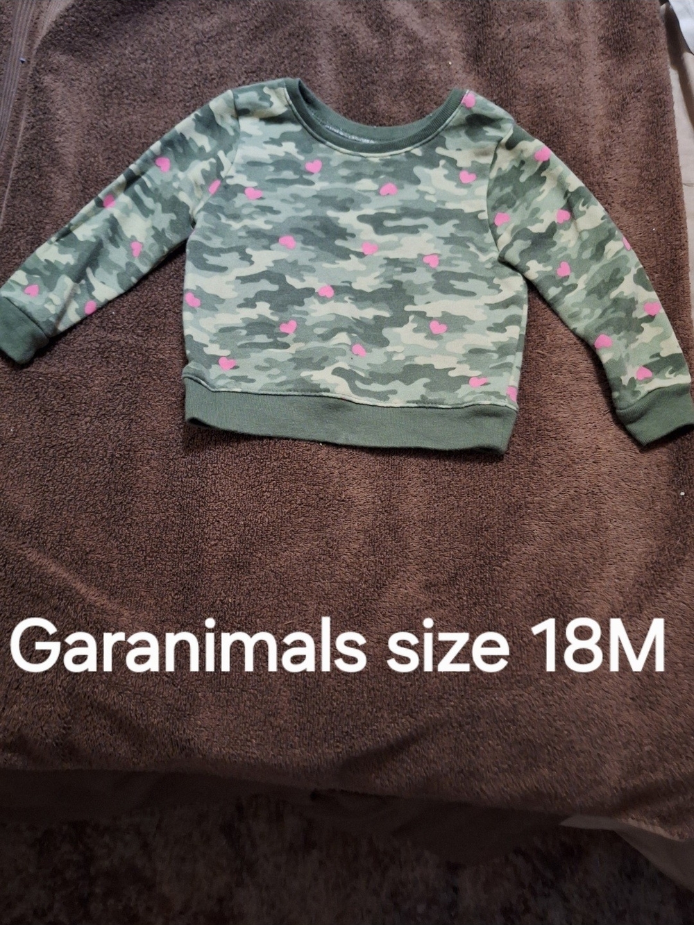 Garanimals Green Camo Sweatshirt with Pink Hearts
